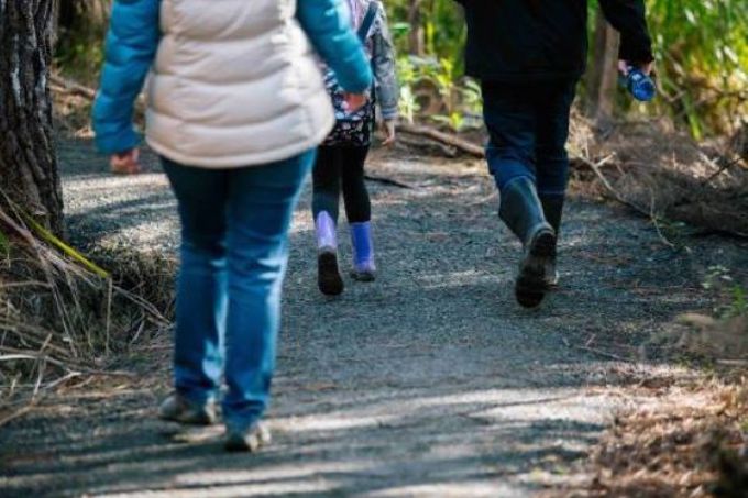 generic walking in bush pic_wddd03ak.jpg