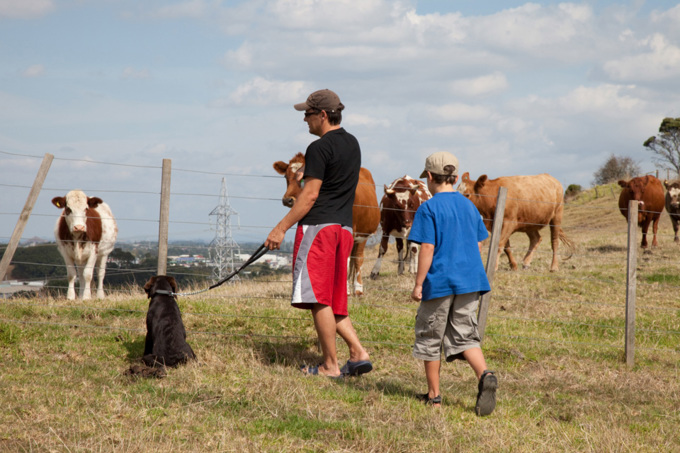 10 amazing heritage walks in Auckland Mutukaroa