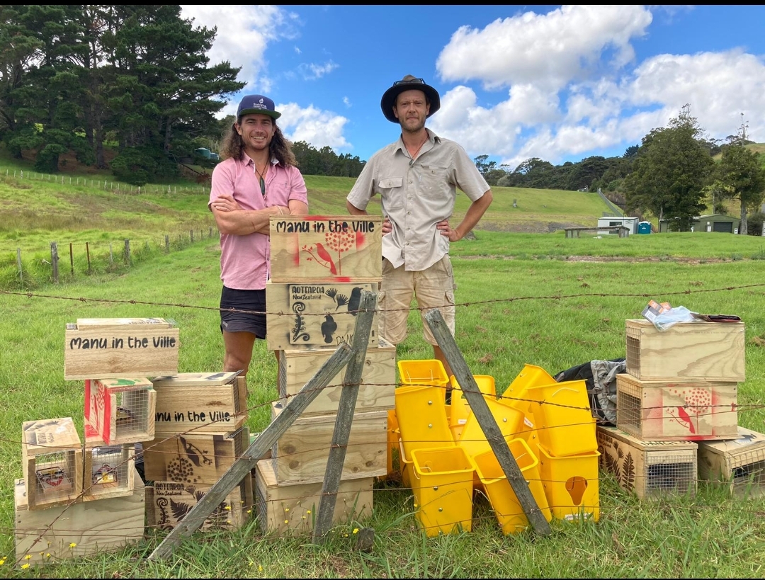 Going pest free in Rodney West - OurAuckland