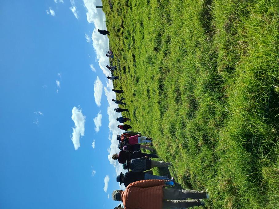 otuataua walk 2024 _5s4hsbzi.jpg