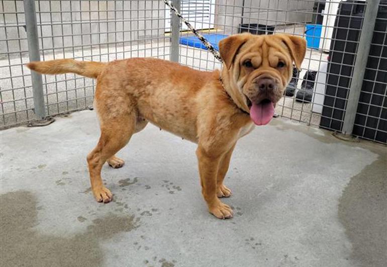 B7d54ddd 18F8 447A 8249 323Ea28e9d6b