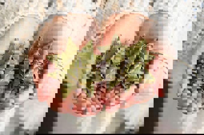 community centres - Star Sewing Images