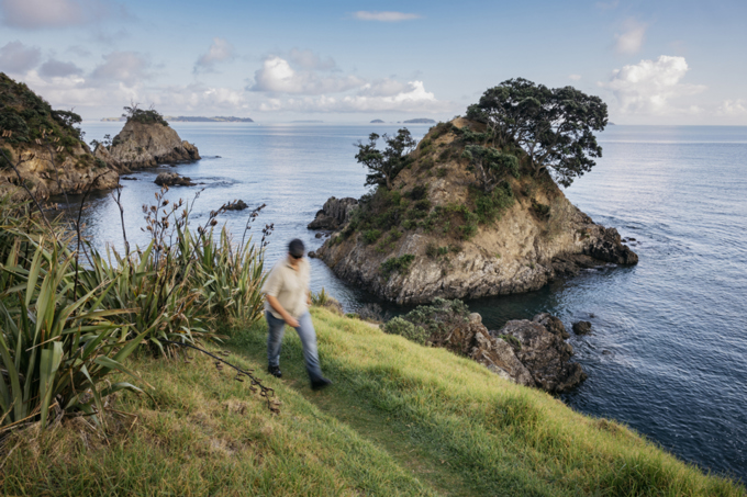 Exotic Caulpa image 2