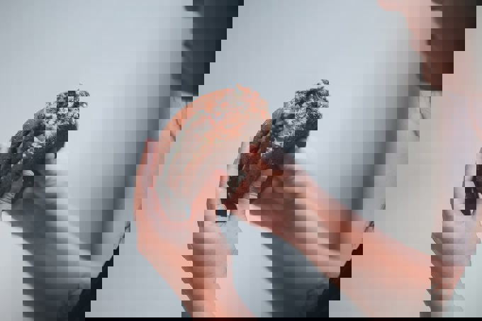 Expired food registrations no longer being renewed after 1 January 2021