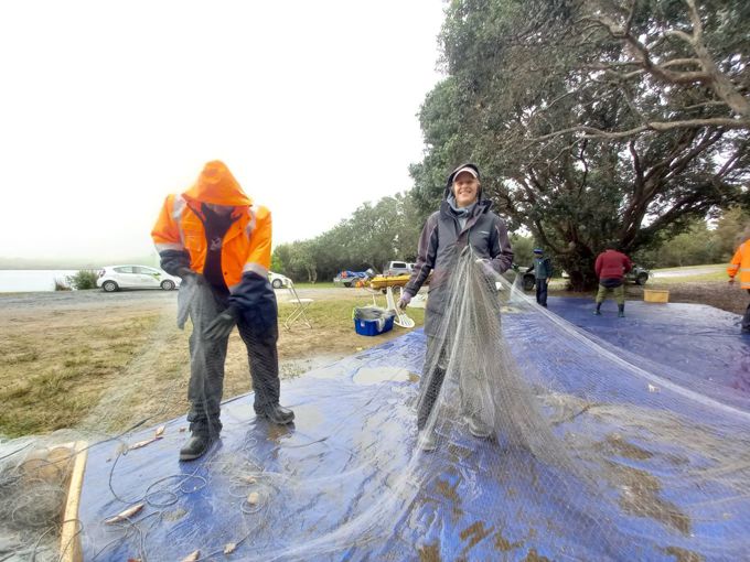 Pest Fish Removed To Protect Lake Water Quality And Plant Life