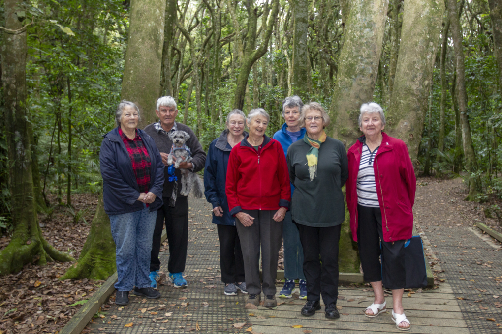 Longtime volunteers stand beneath the tree canopy in Kirks Bush - Papakura