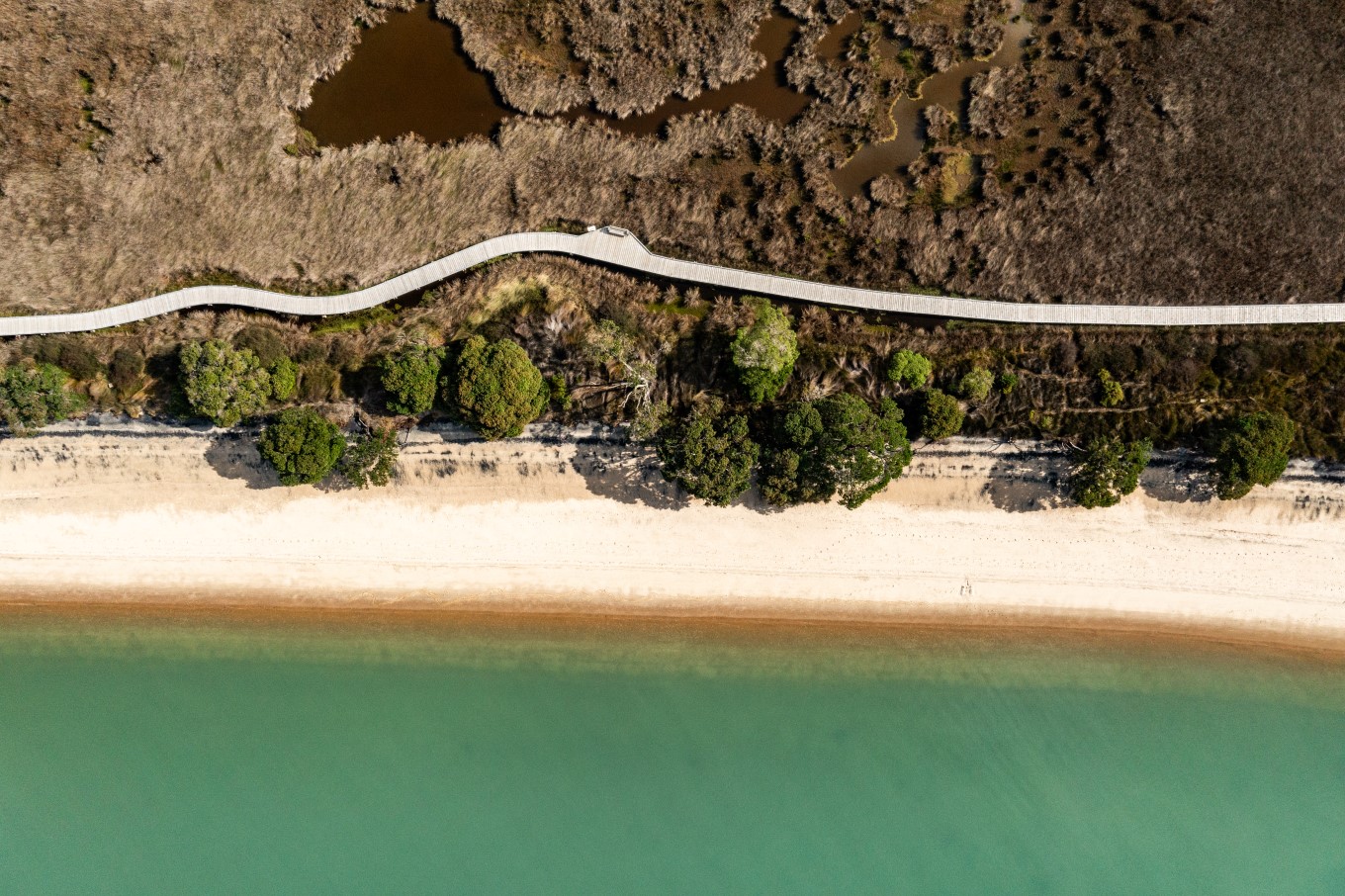 The boardwalk at Āwhitu Regional Park offers views of the wetlands and white sand beaches of Kauritūtahi Beach.