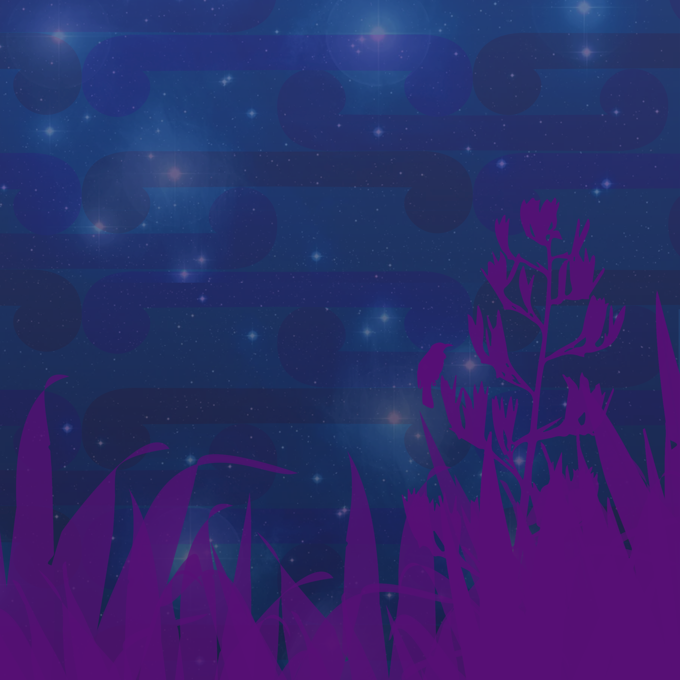 Titirangi Matariki Rooftop Celebrations