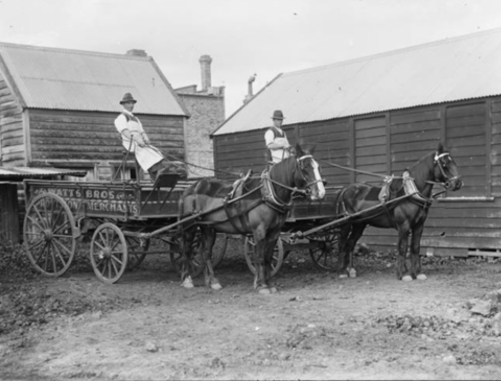 Response 41 Watts Bros Delivery Carts, Onehunga