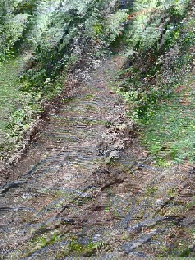 Hillary Trail scenery (21)