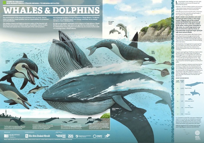 Celebrating the wonders of our gulf 2