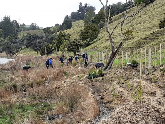 Rodney Healthy Harbours and Waterways Fund applications open