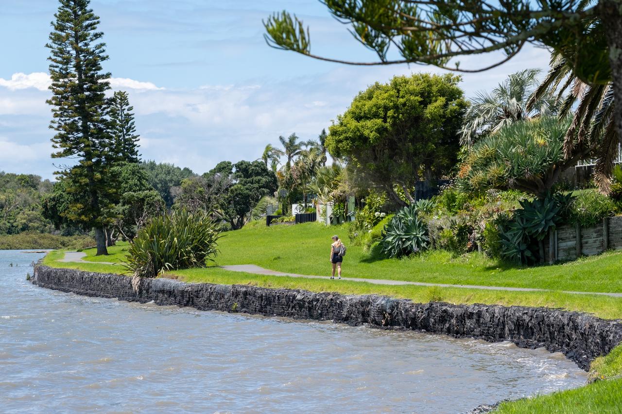 A person moving alongside the waterside path of Bramley Reserve Rotary Walkway.