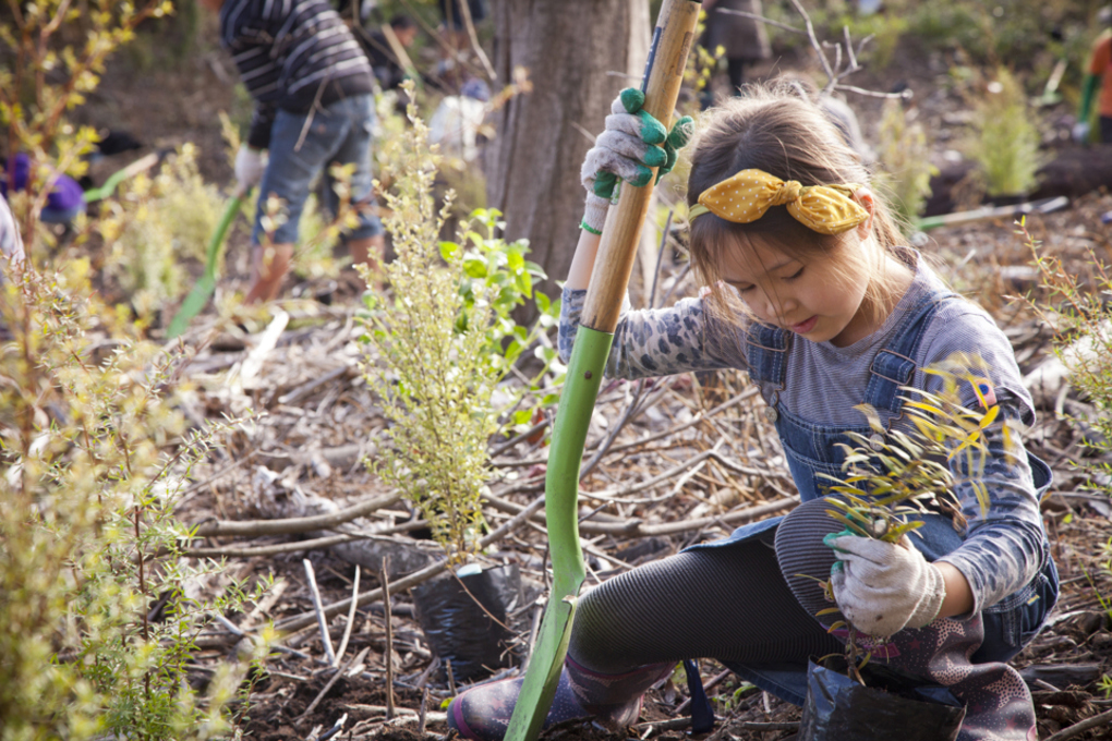Targeted rates help Aucklanders enjoy and protect great our outdoors_volunteer