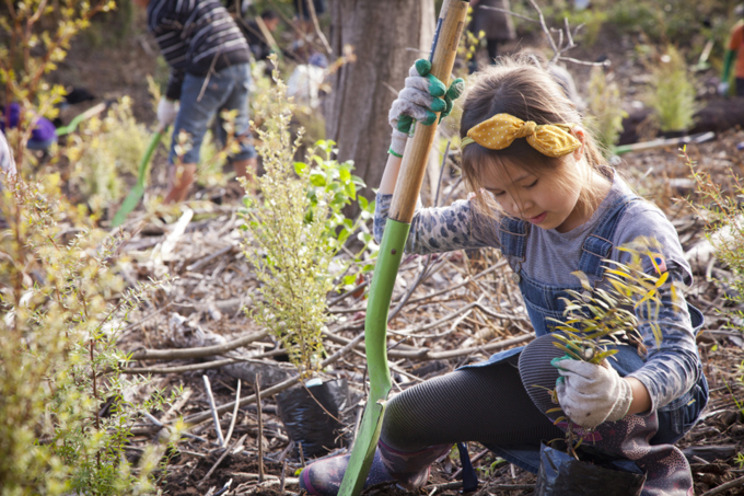 Targeted rates help Aucklanders enjoy and protect great our outdoors_volunteer