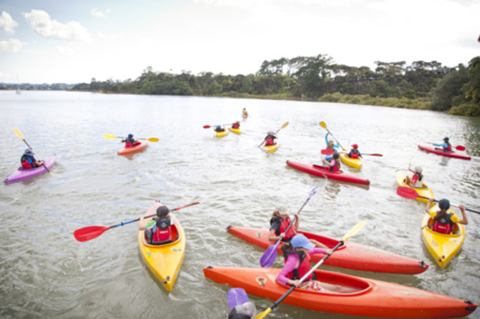 Explore the northern Waitematā Harbour