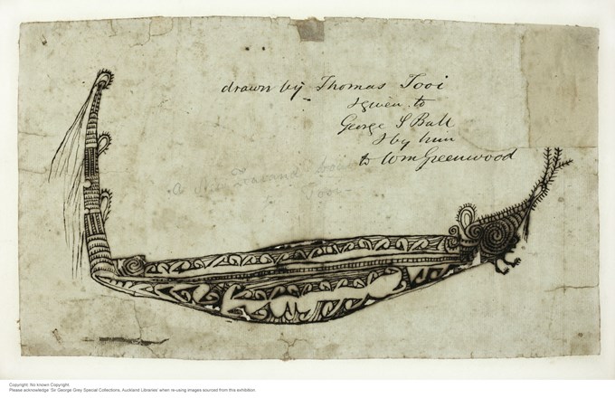 Tūī Drawings 4_Sir George Grey Special Collections Auckland.jpg