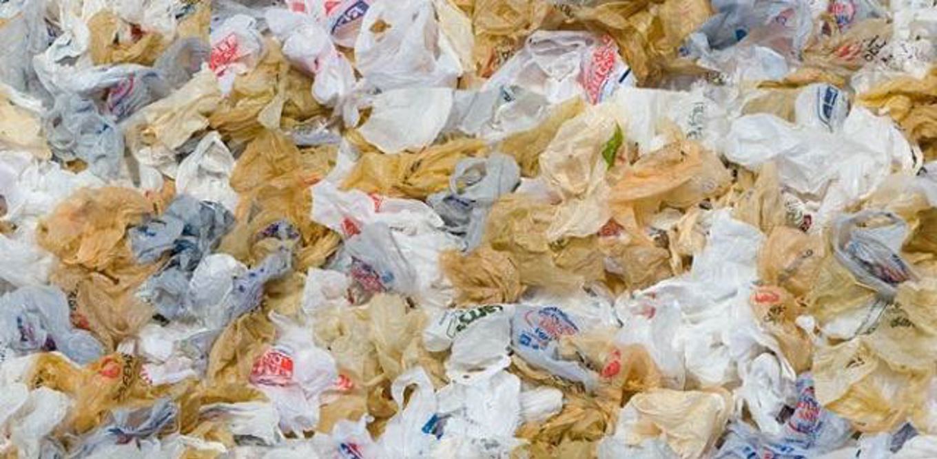 Please no plastic bags OurAuckland
