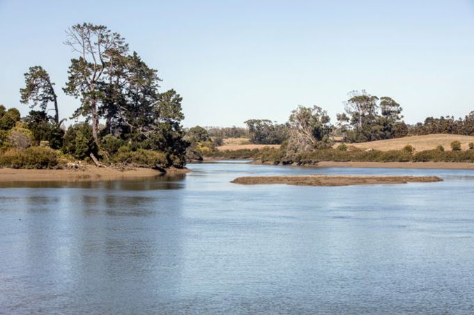 Papakura goes green in draft Local Board Plan