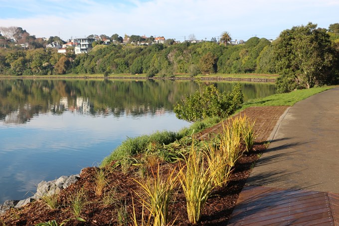 How rates are helping Orakei’s environment and waterways