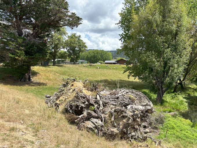 IMG_4952 WEB_zuvgvgzp.jpg