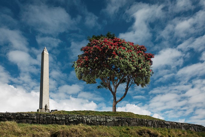 Maungakiekie/One Tree Hill planting symbol of new Auckland
