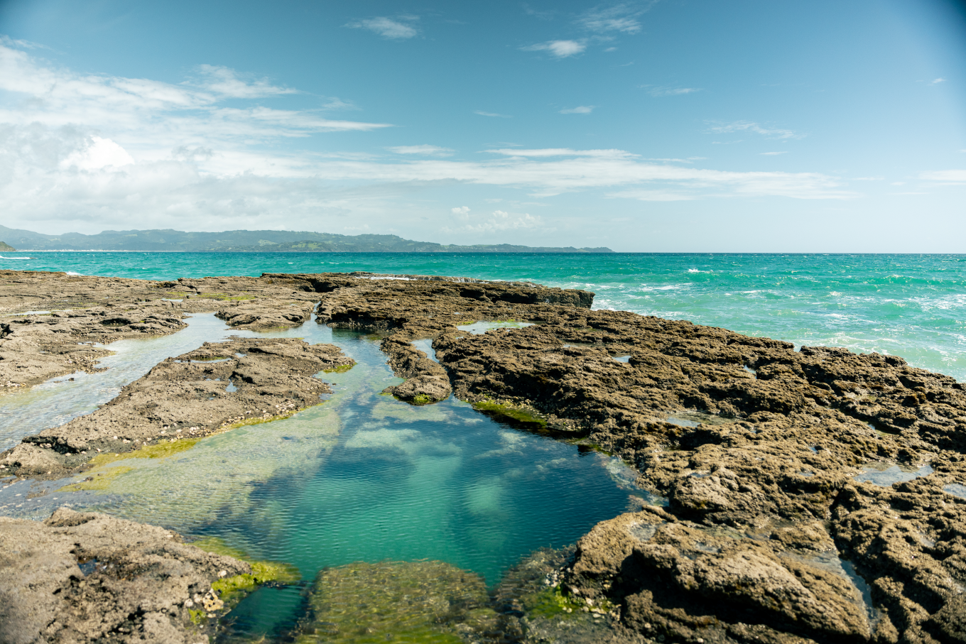 Looking across rock pools at Tāwharanui Beach, with the ocean in the background.