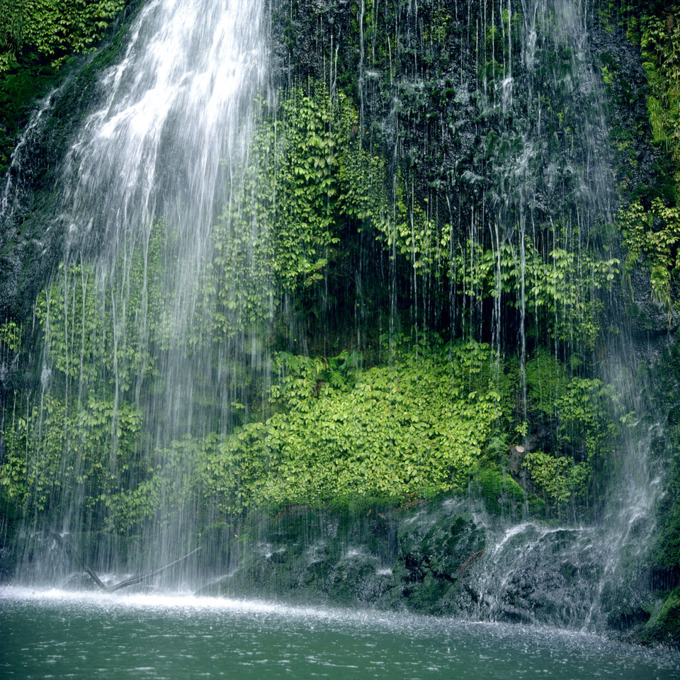 Best spots to meditate in Auckland (2)