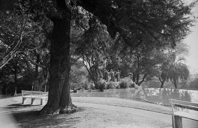 Mirror, mirror on Auckland Domain (1)
