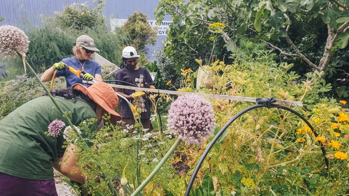 Organic Gardening Session_oge5v0ud.jpg