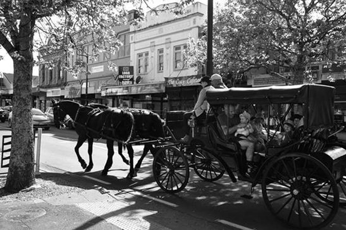 Heritage Festival Diary Week Two Horse And Carriage Rides