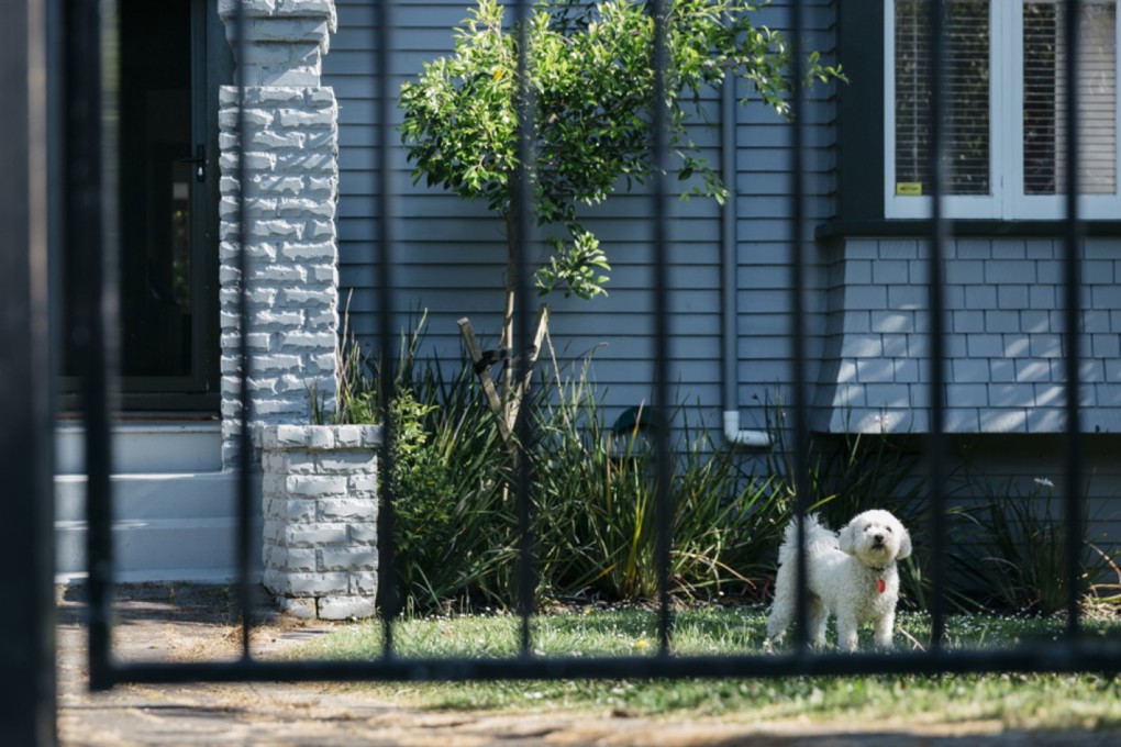 Pet Ownership image 1
