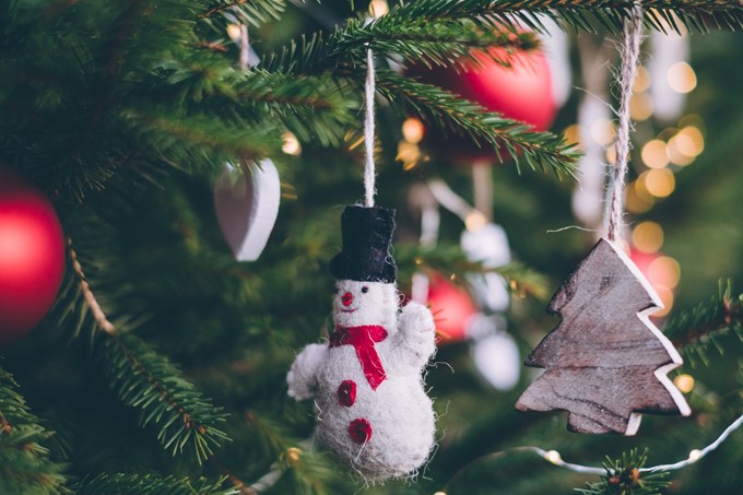5 ways to recycle your Christmas tree 2