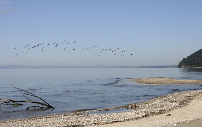 The gems on our doorstep 19