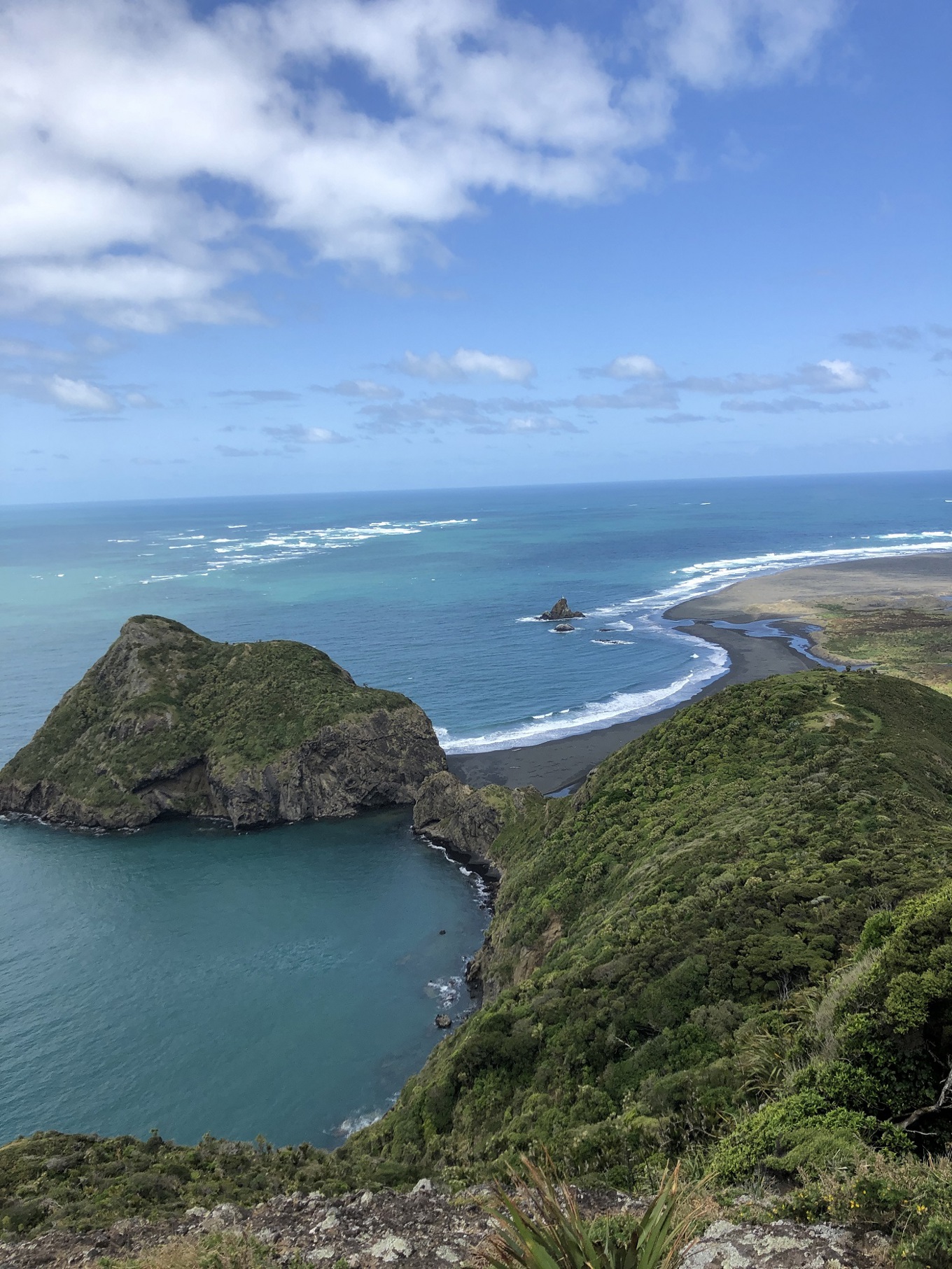 Track Reopening Makes Western Coastline More Accessible OurAuckland