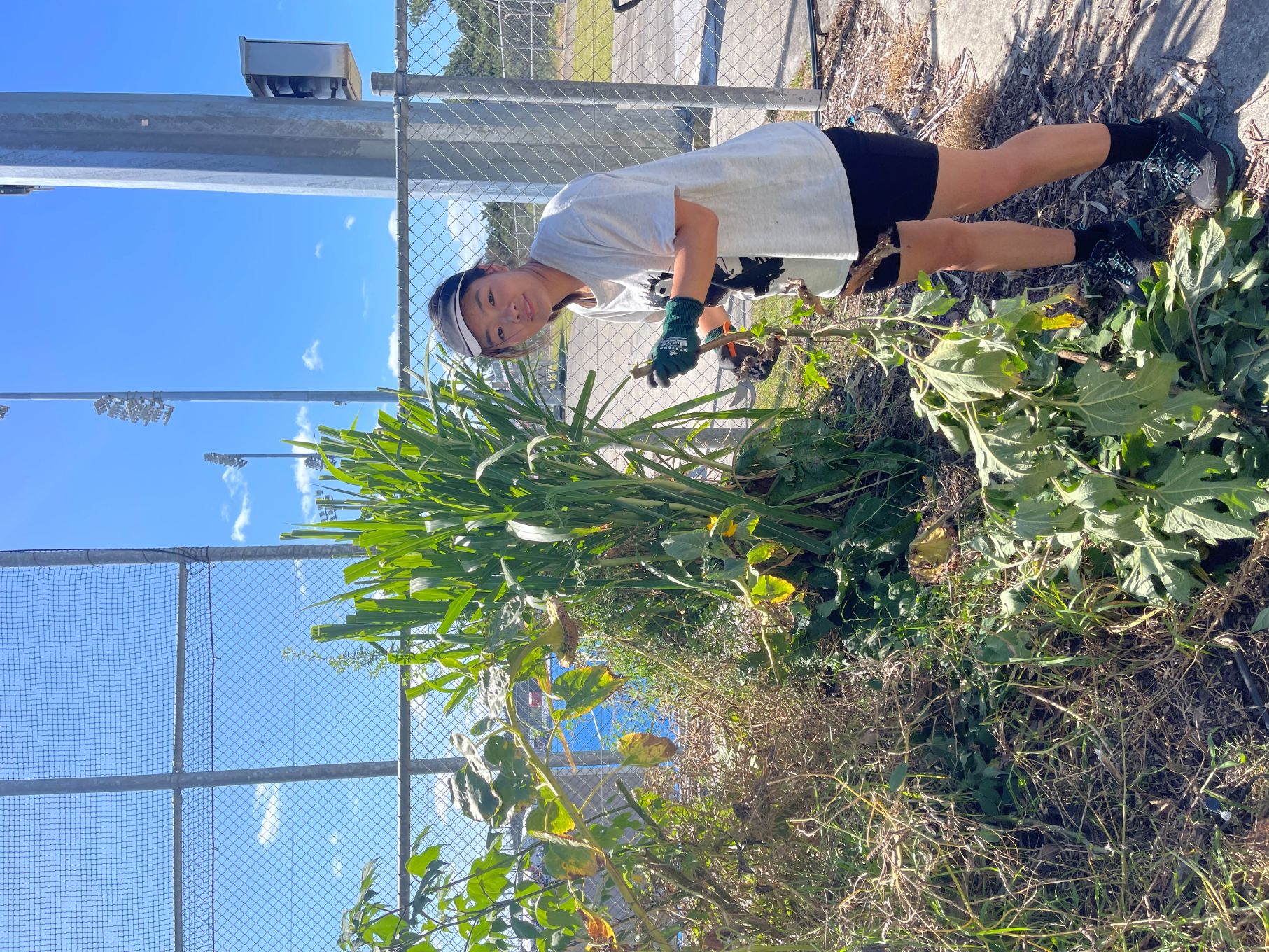 A community volunteer doing weeding. 