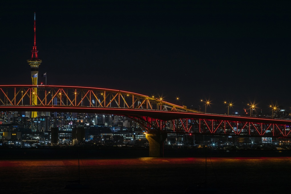 Vector Lights for BNZ Auckland Lantern Festival 2026_OA_1wopmb0z.jpg
