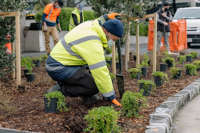 Te Maharatanga O Nga Wai Planting Resize