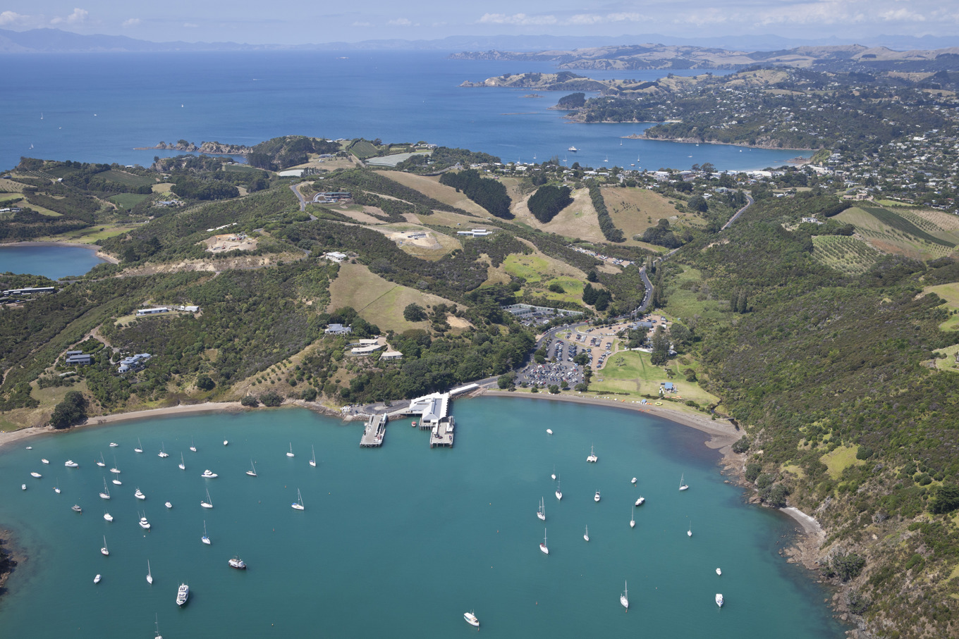 Waiheke aiming to world's first predatorfree urban island