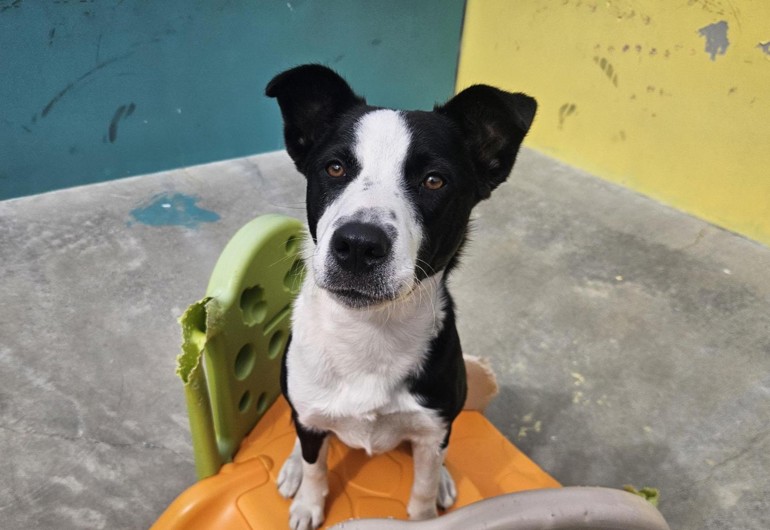 Media 2026 04 02T144546.006