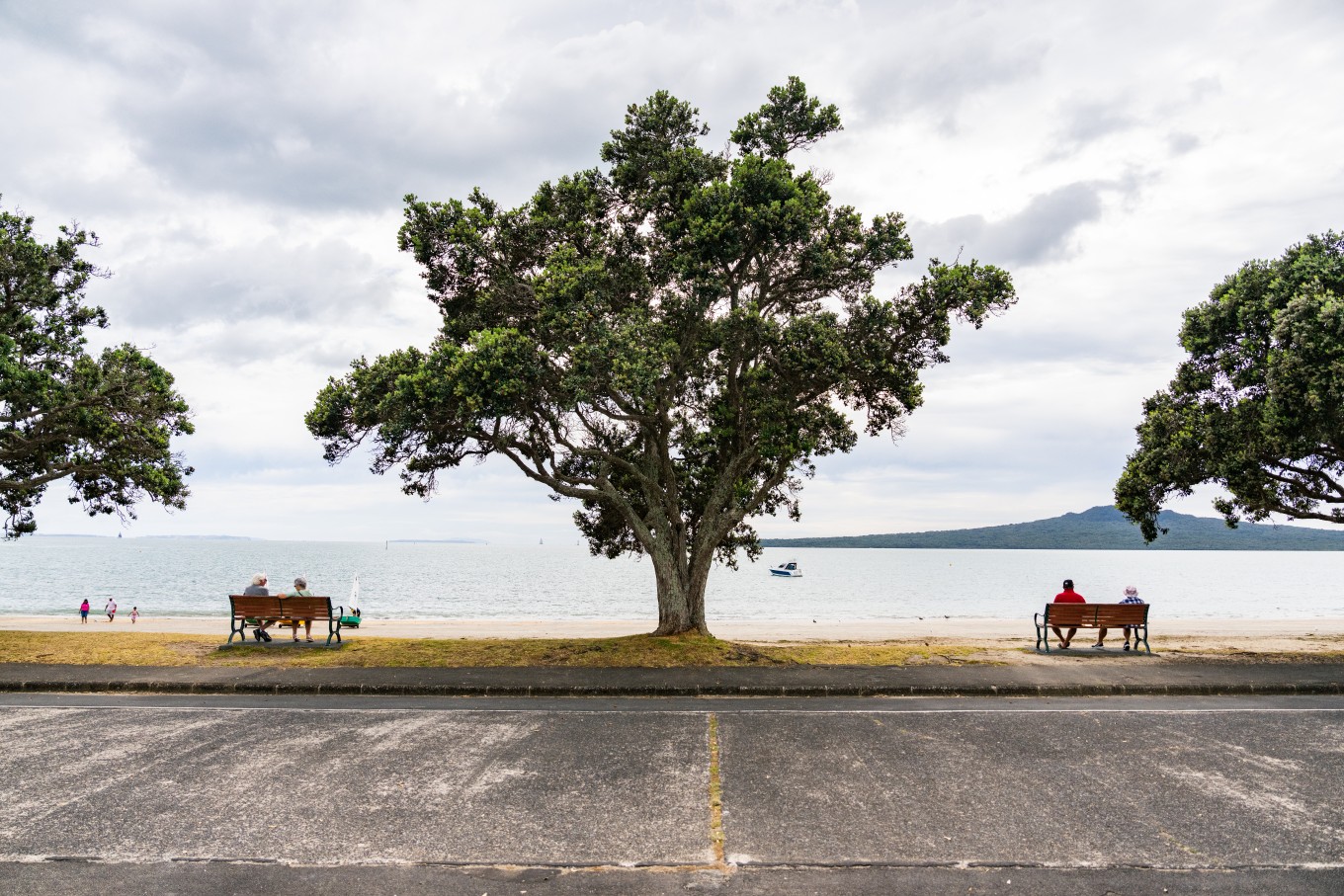 People sitting on the beach and benches facing Narrow Neck beach. 