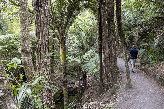 The gems on our doorstep 6