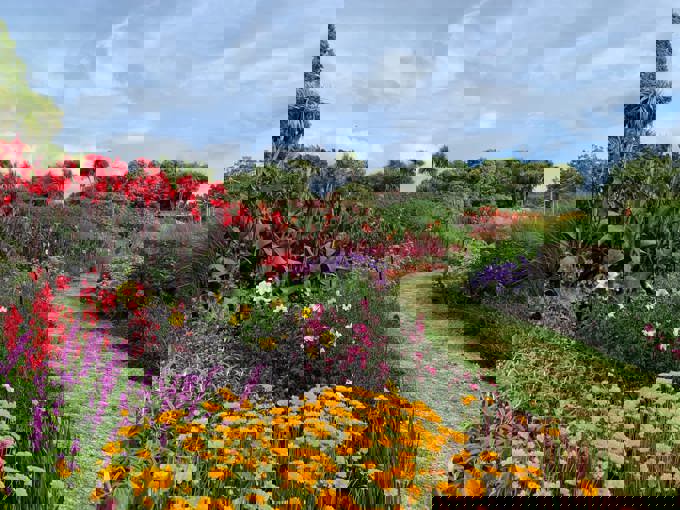 Seasonal walk November 2025-min_pff4fzie.jpg