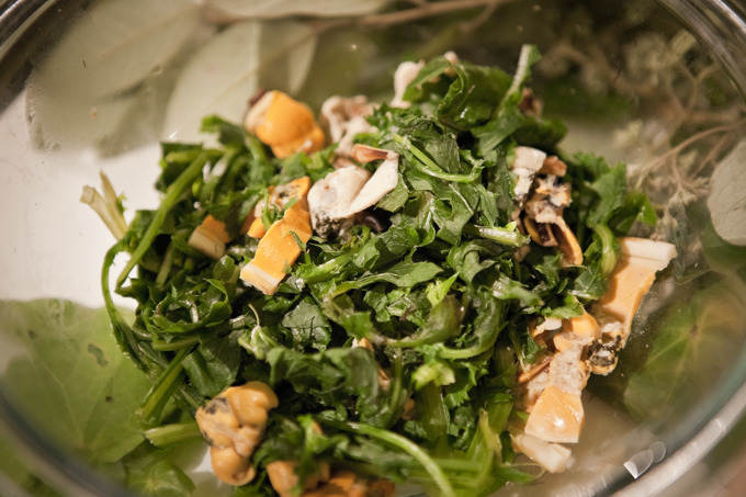 Matariki Festival – upcoming highlights (1)