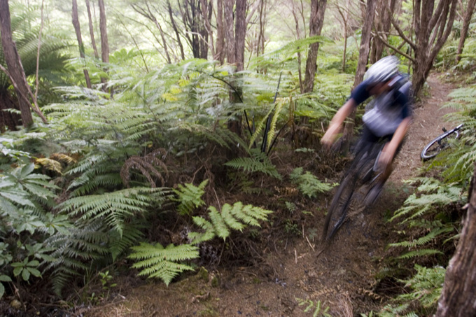 Hunua riders urged to stay on track