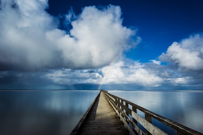 Manukau harbour clean-up (3)
