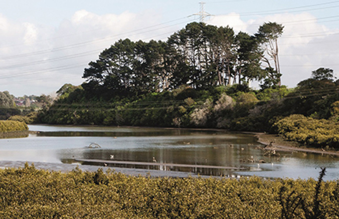 Restoring the Otara Lake