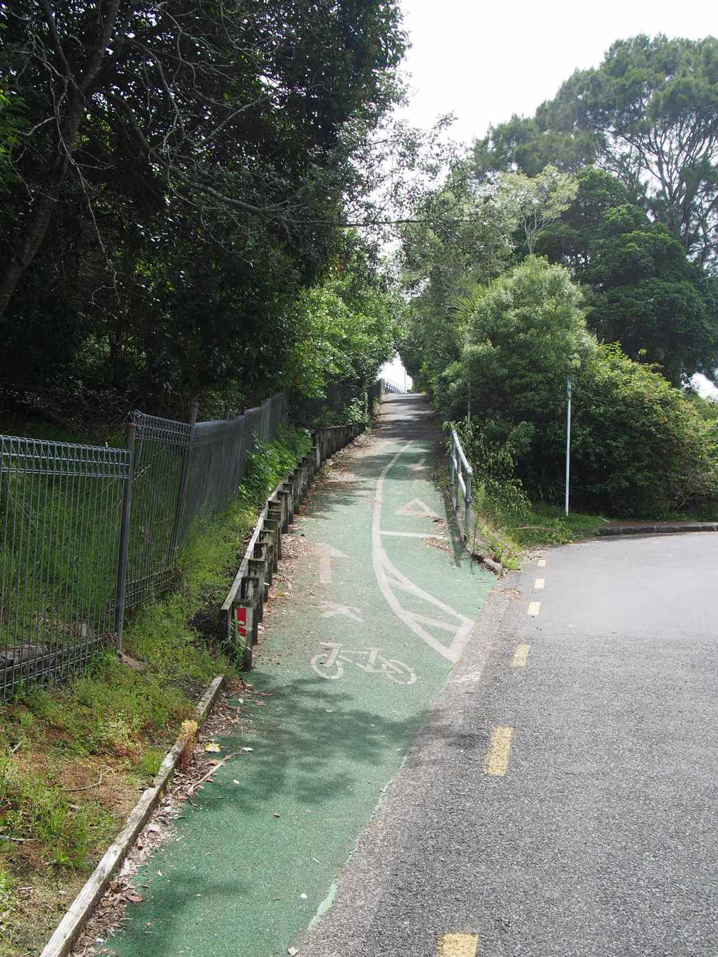 Ian McKinnon Drive Cycleway construction begins (2)