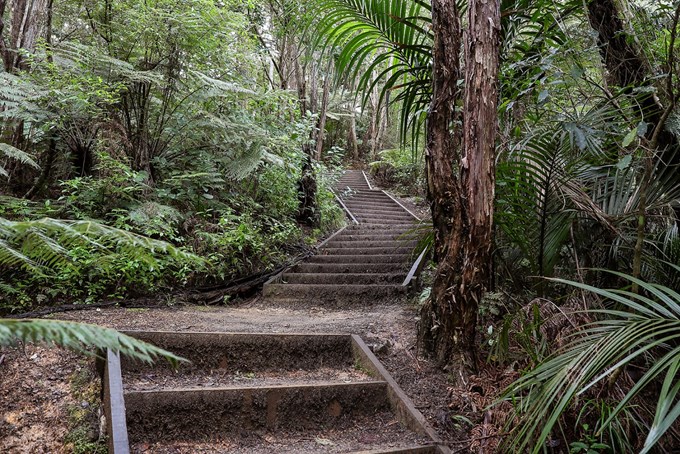 Get together on these east Auckland walks (4)