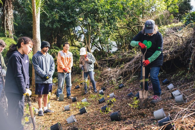 Sunnyside Stream Planting